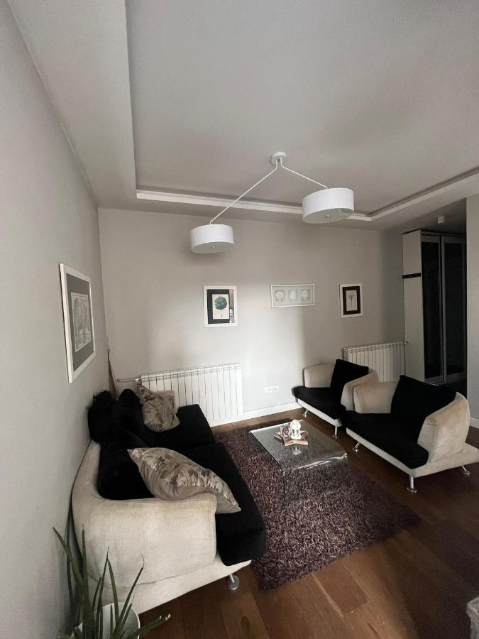 Deluxe Newsky With Terrace